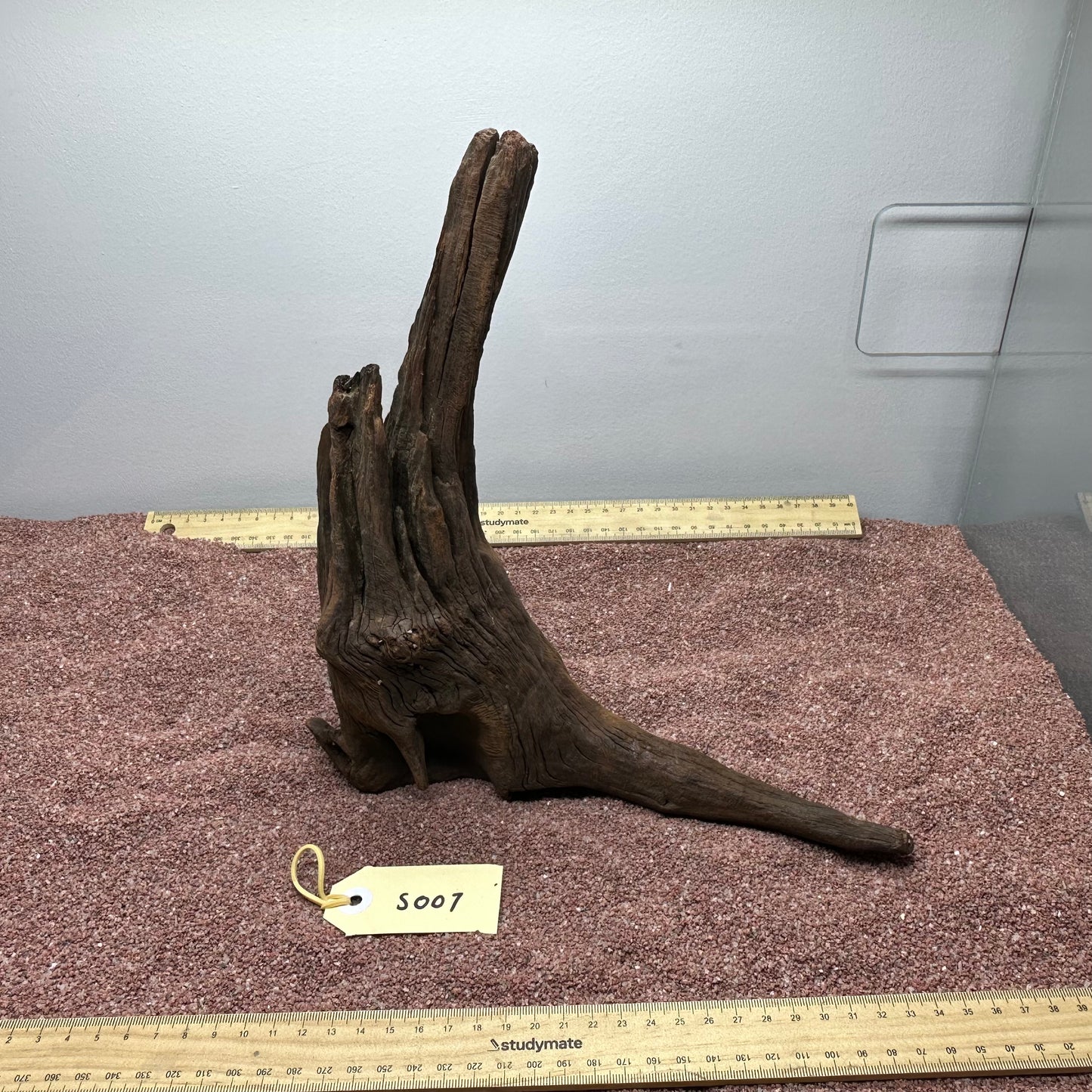 Driftwood (Small)