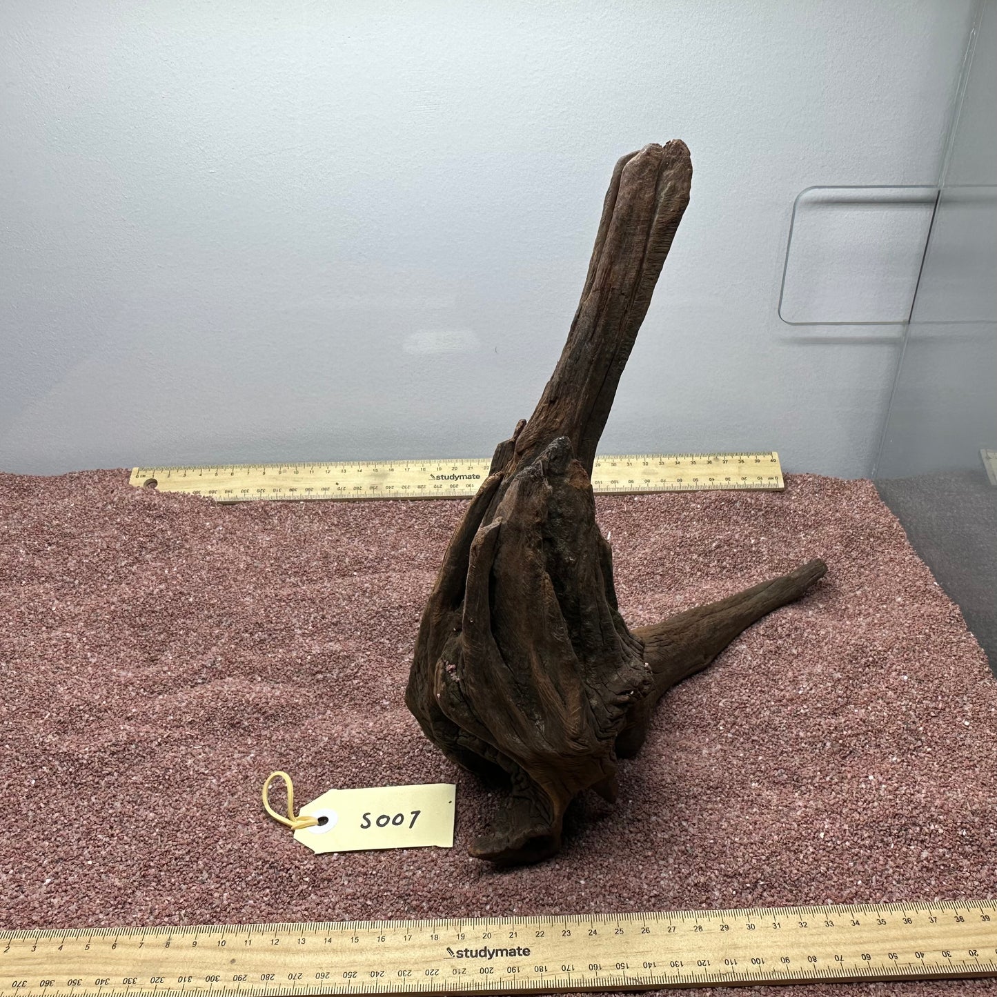Driftwood (Small)