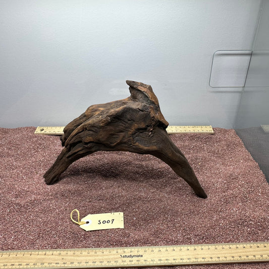 Driftwood (Small)
