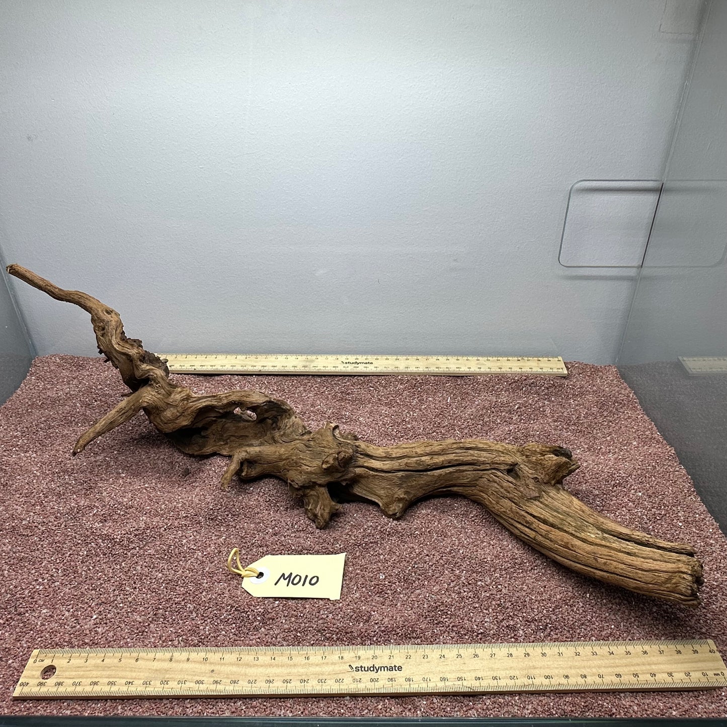 Driftwood (Medium)