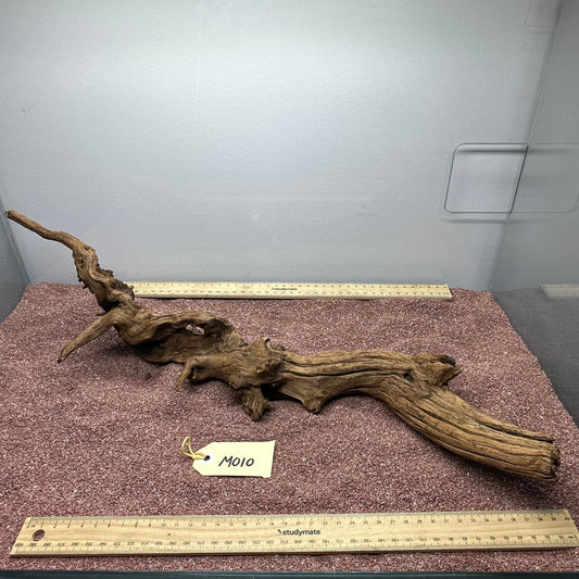 Driftwood (Medium)