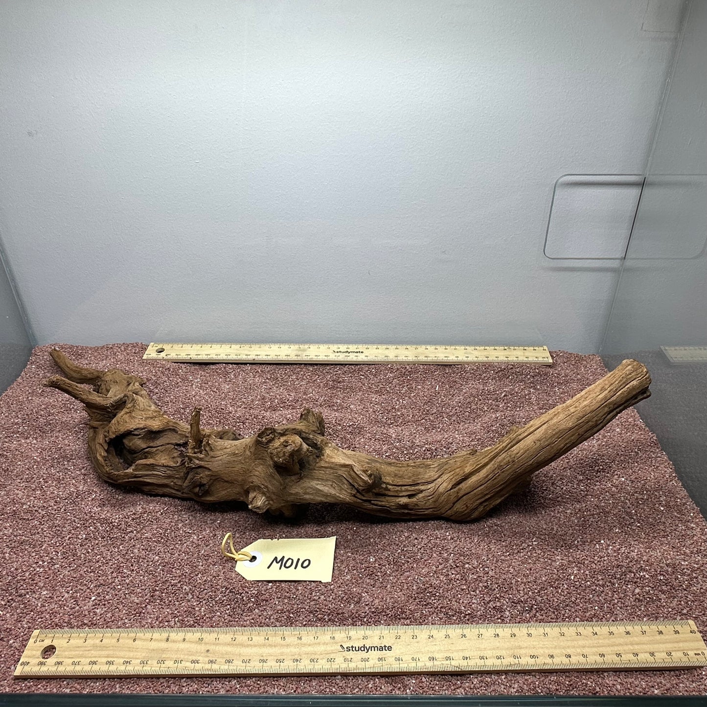 Driftwood (Medium)