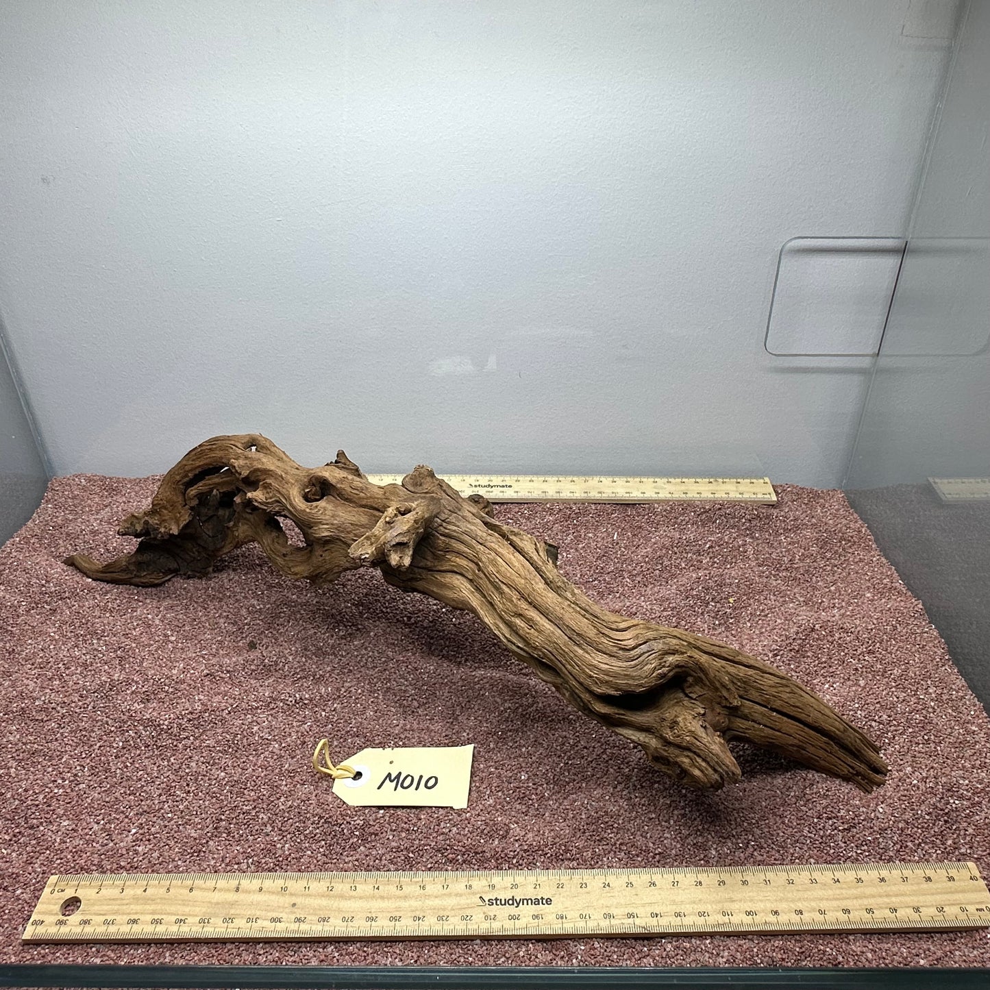 Driftwood (Medium)