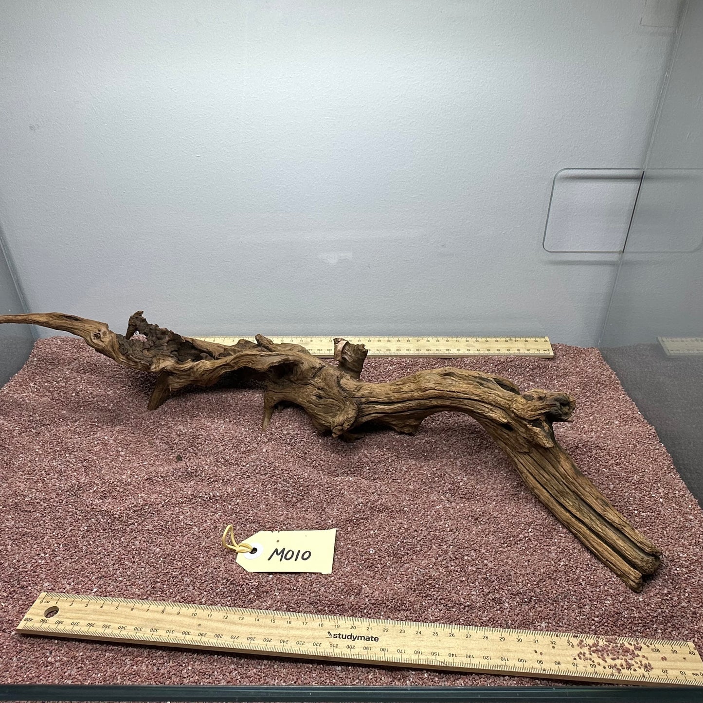 Driftwood (Medium)