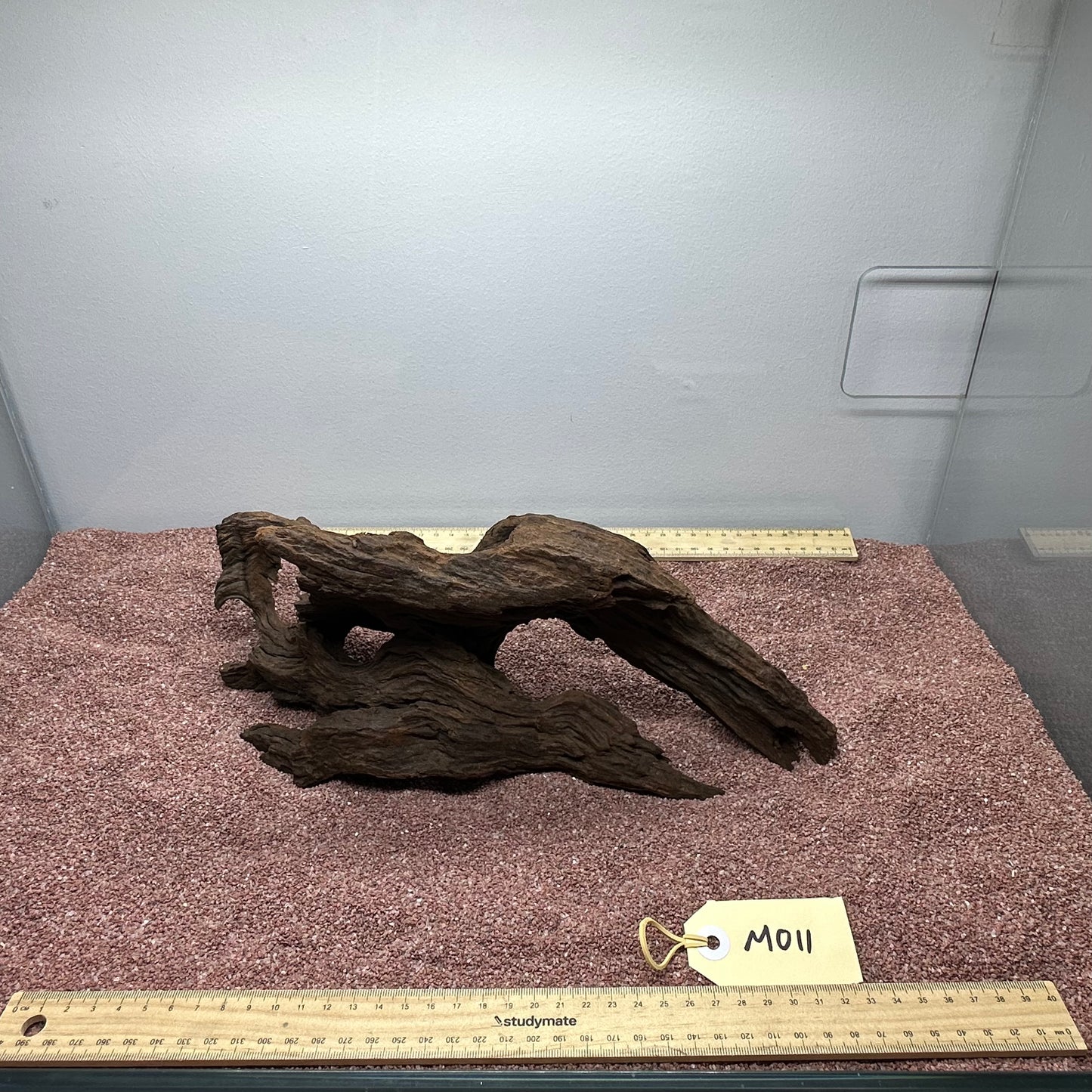 Driftwood (Medium)