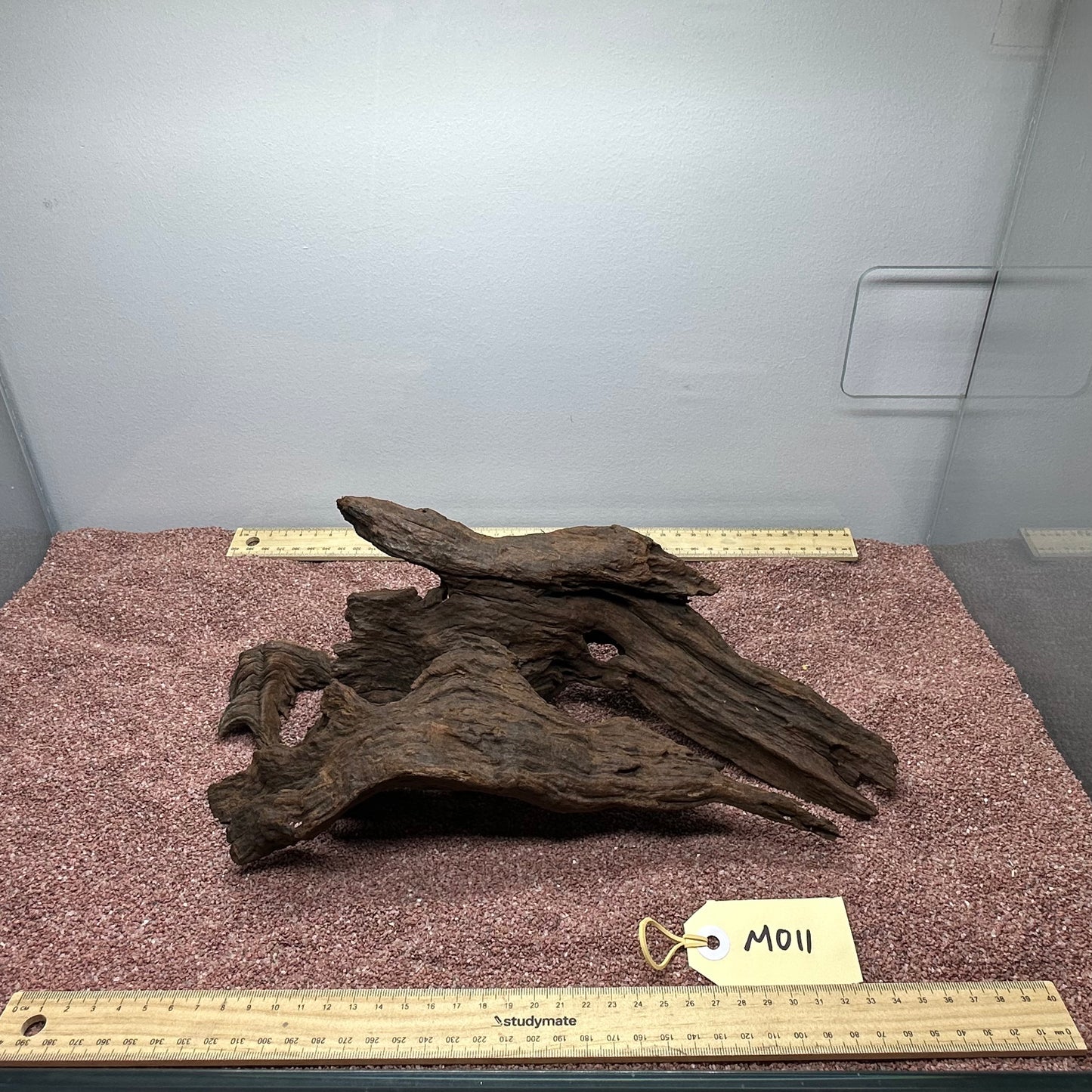 Driftwood (Medium)