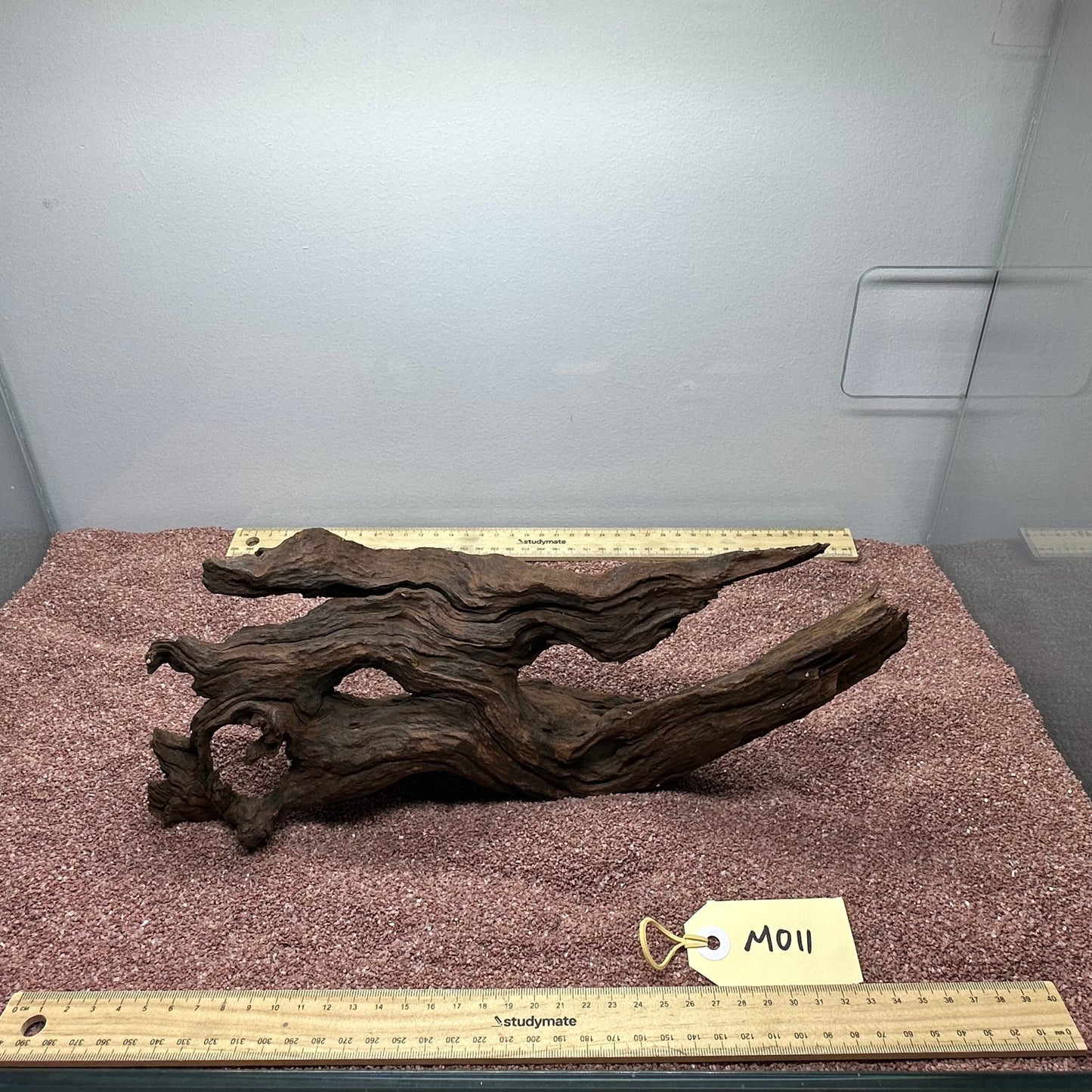Driftwood (Medium)