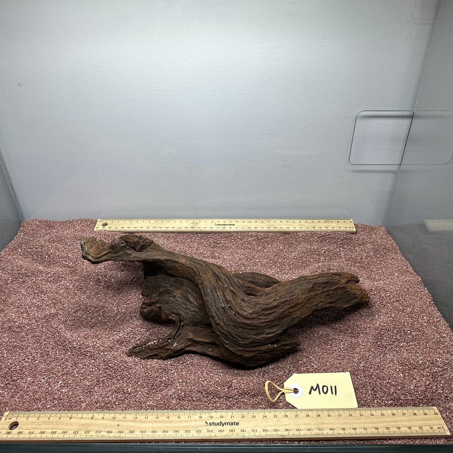 Driftwood (Medium)