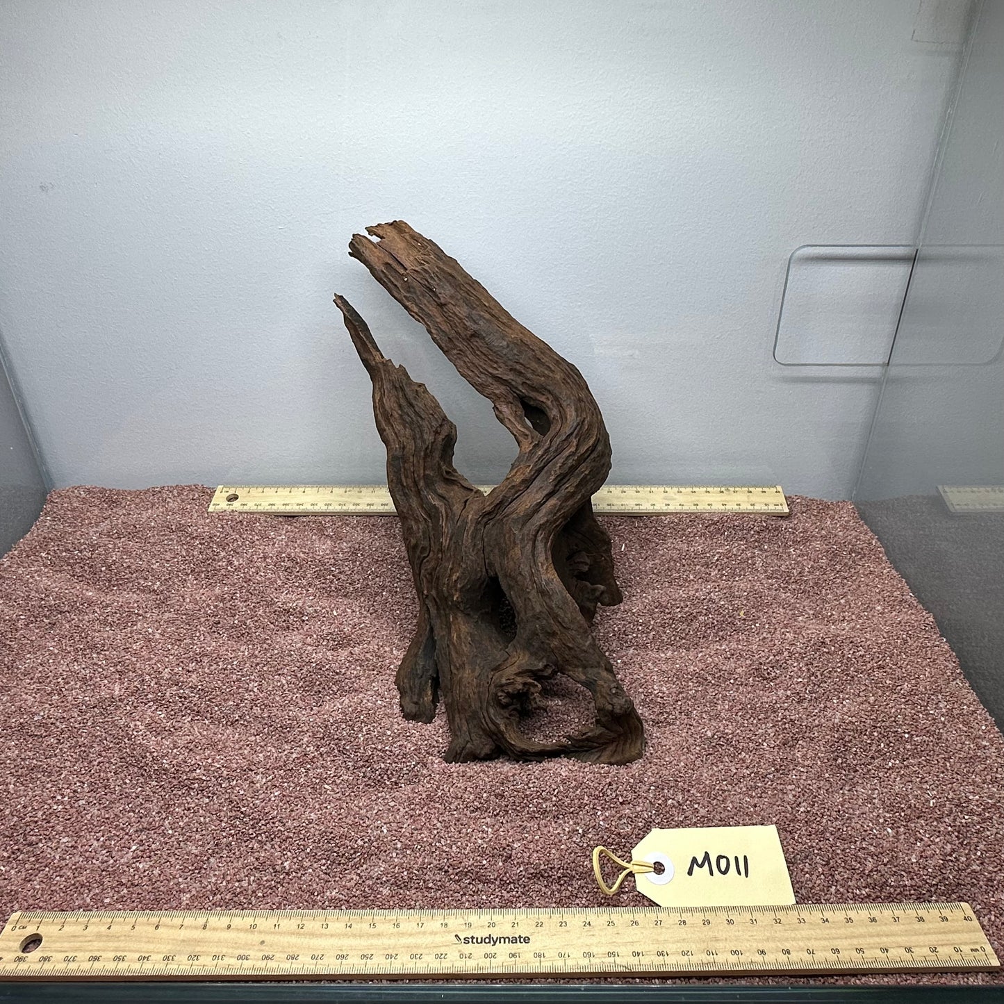 Driftwood (Medium)