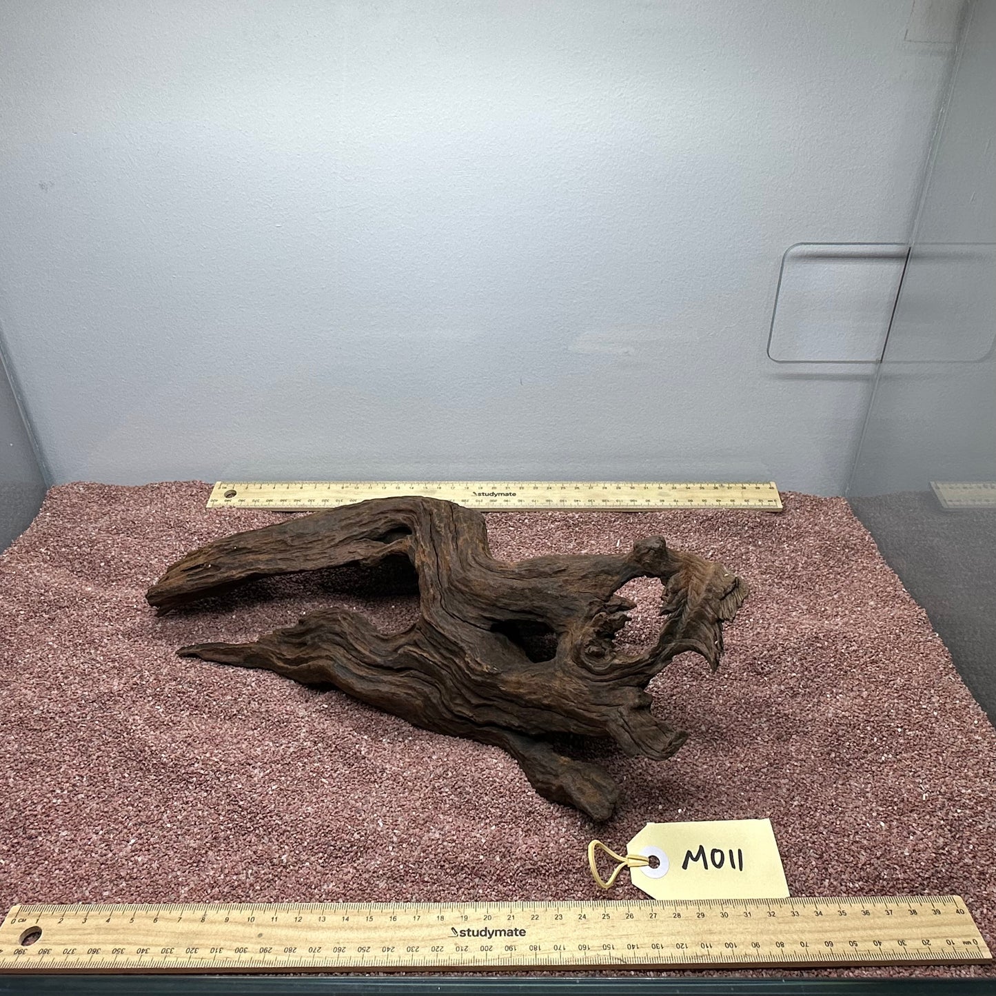 Driftwood (Medium)