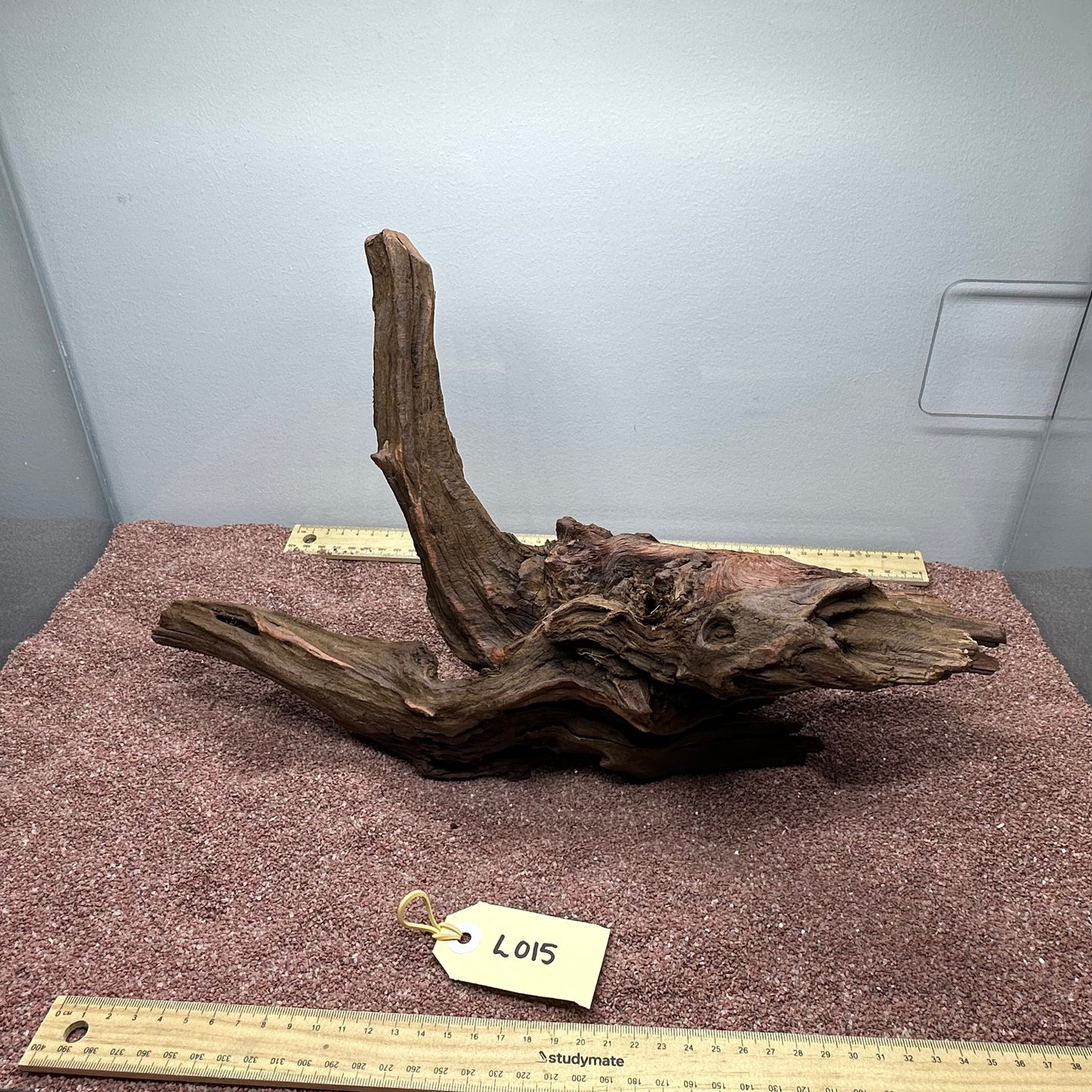 Driftwood (Large)