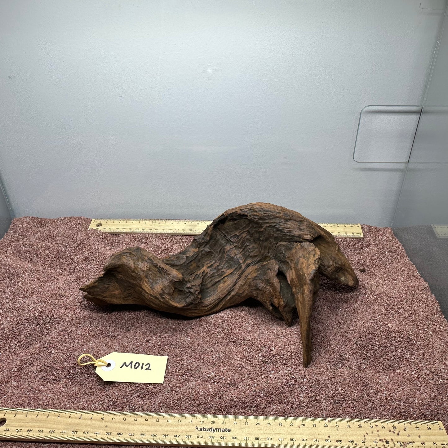 Driftwood (Medium)