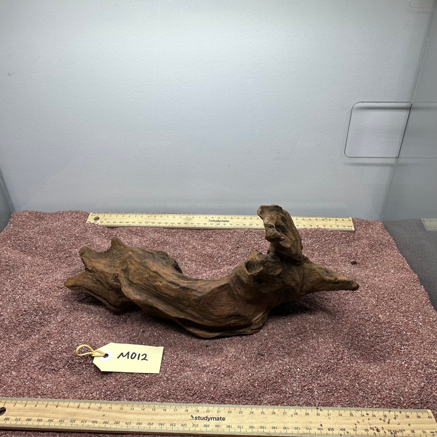 Driftwood (Medium)