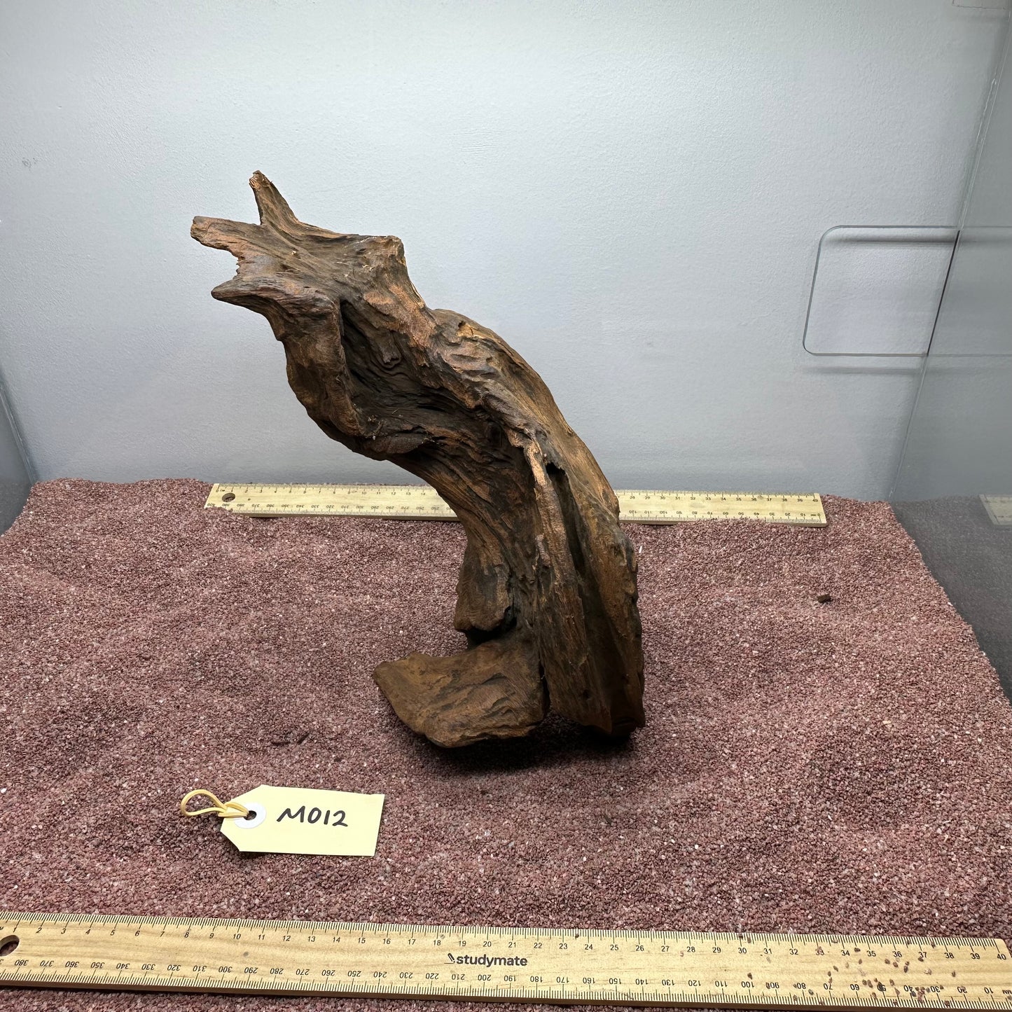 Driftwood (Medium)