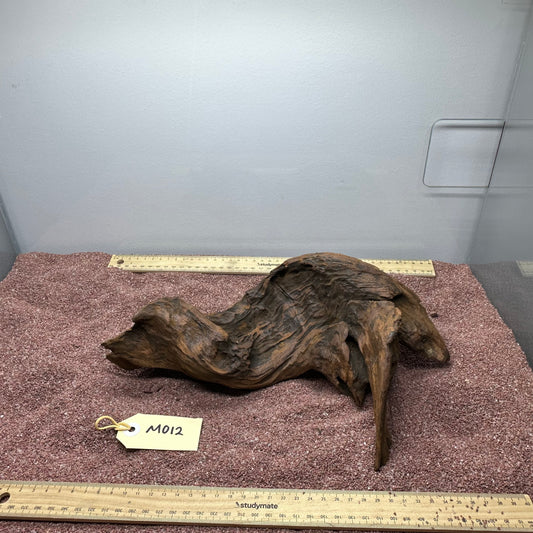 Driftwood (Medium)