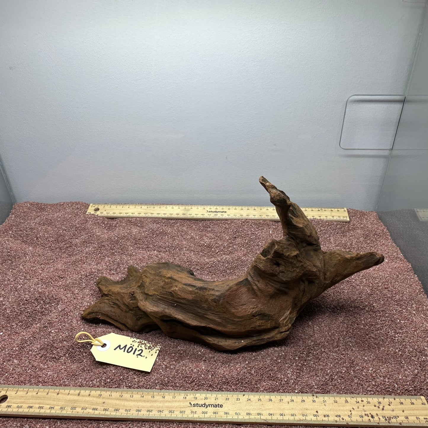 Driftwood (Medium)