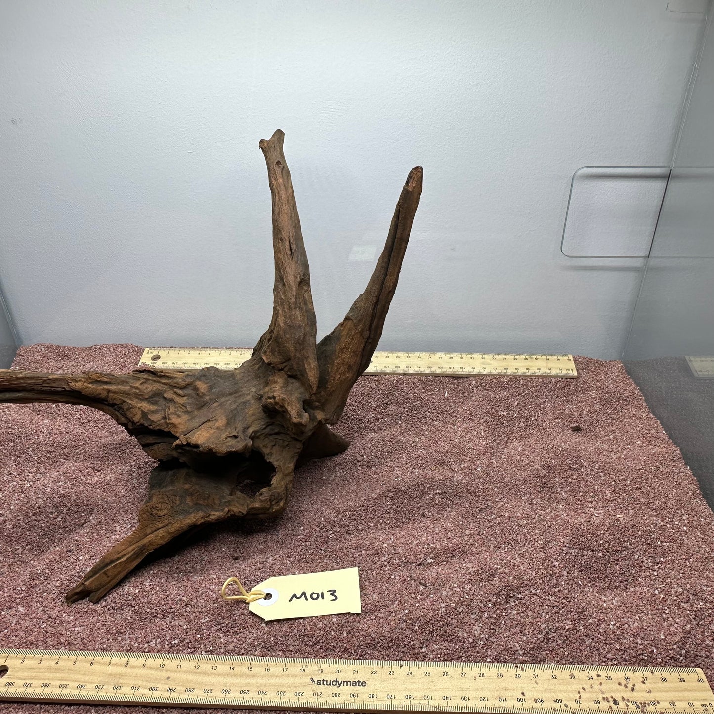 Driftwood (Medium)