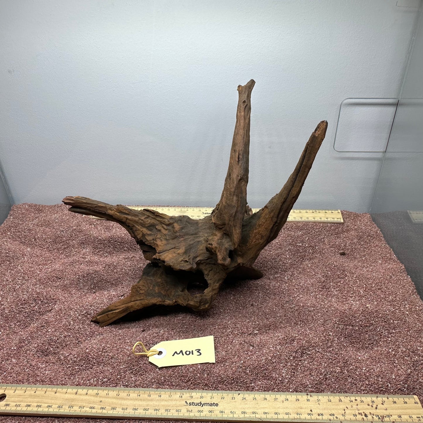 Driftwood (Medium)