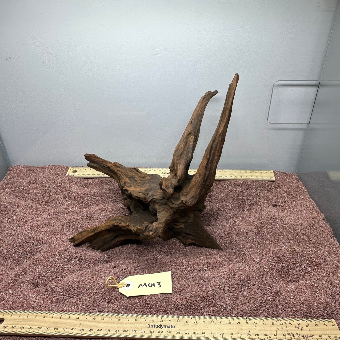 Driftwood (Medium)
