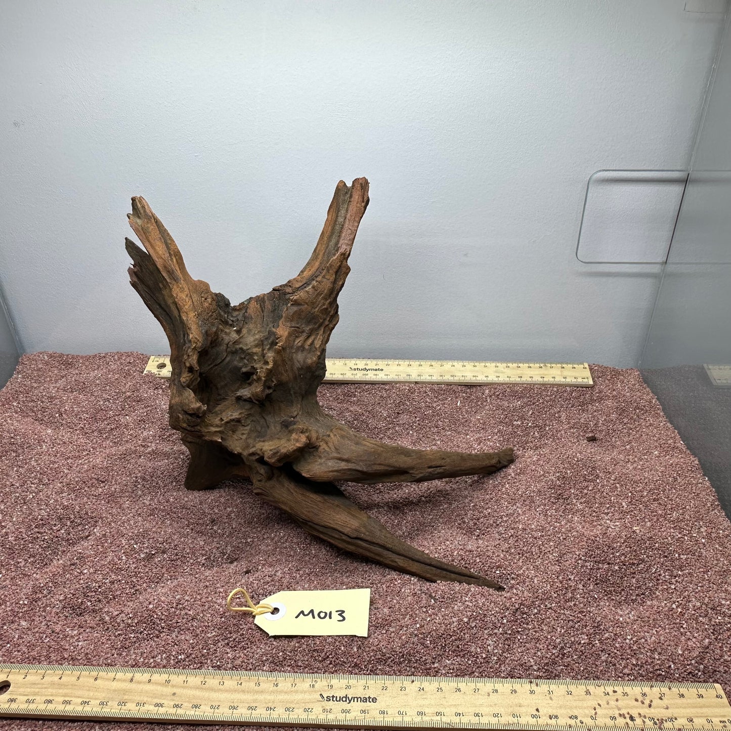 Driftwood (Medium)