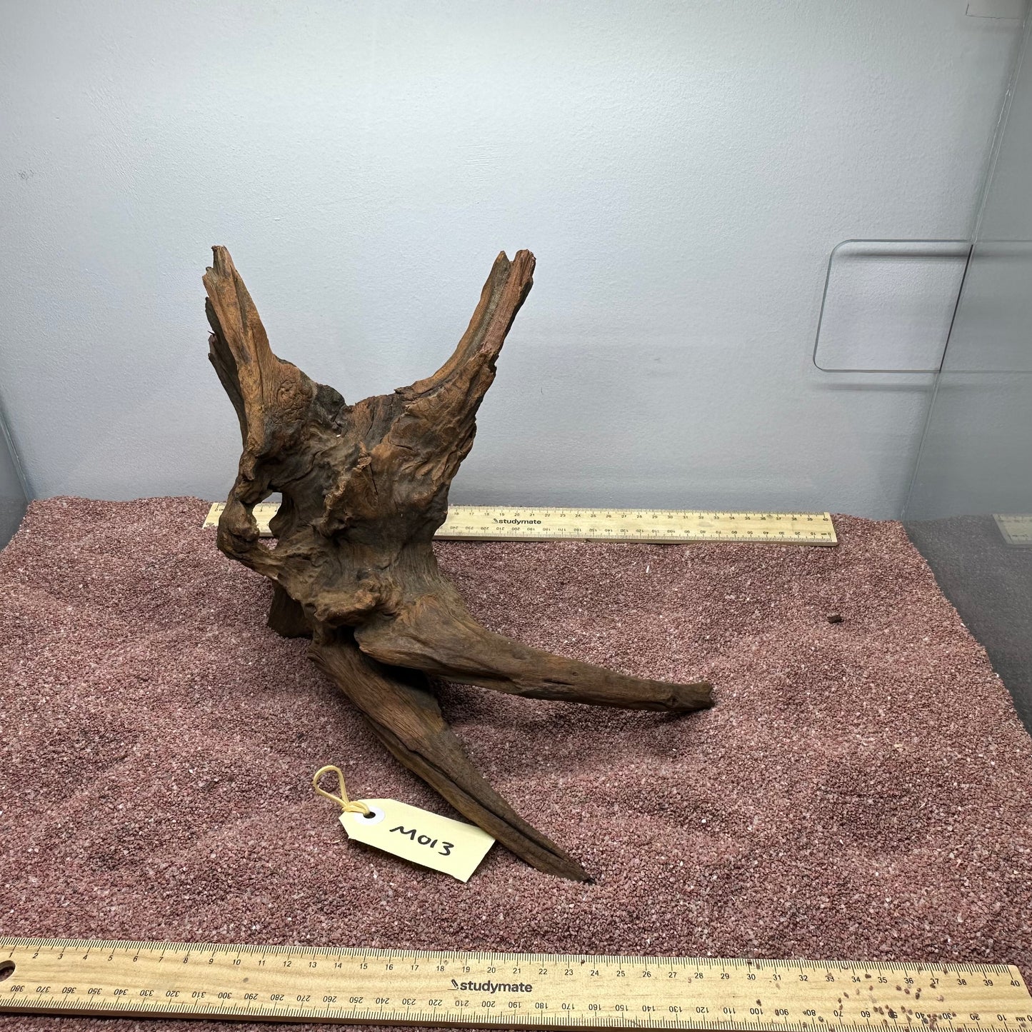 Driftwood (Medium)