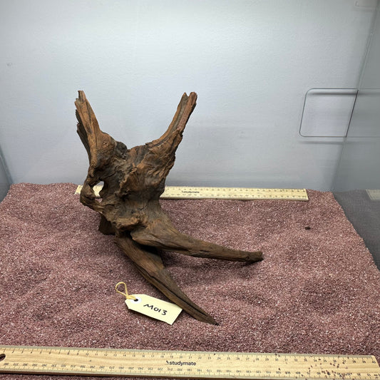 Driftwood (Medium)