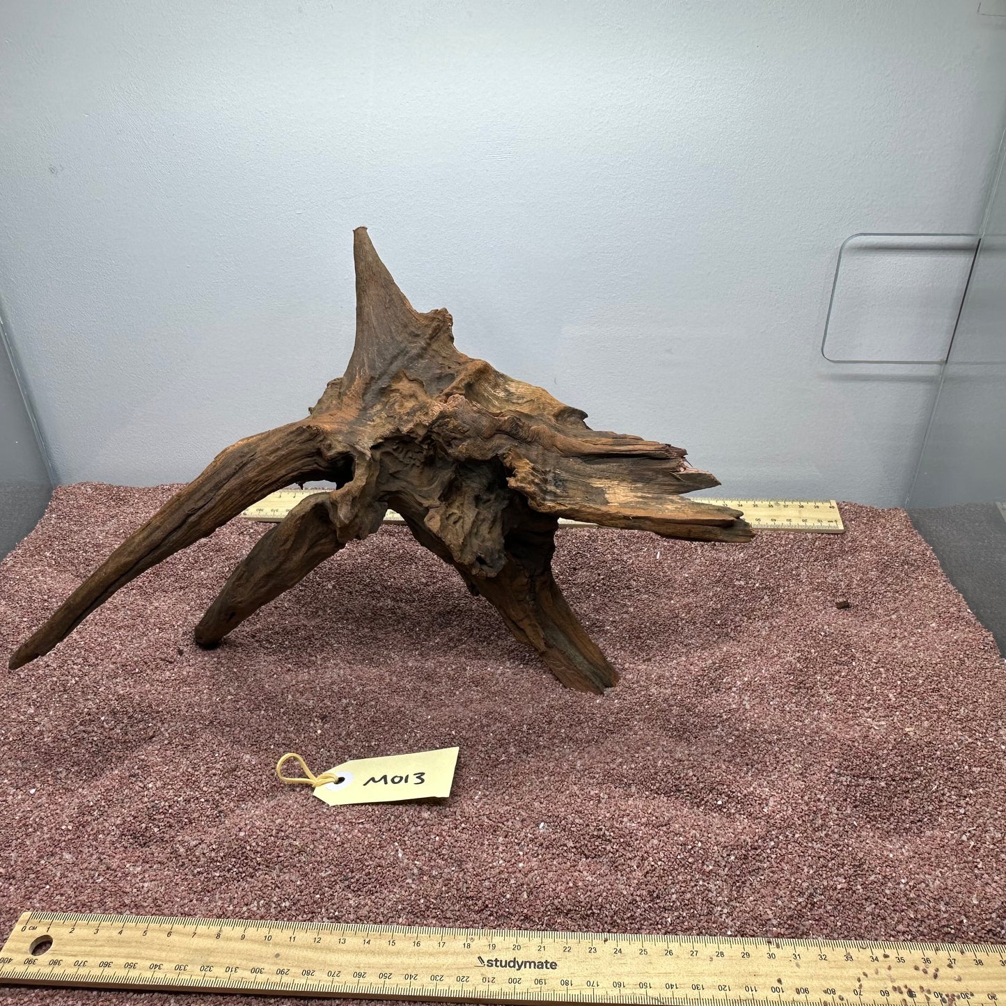 Driftwood (Medium)