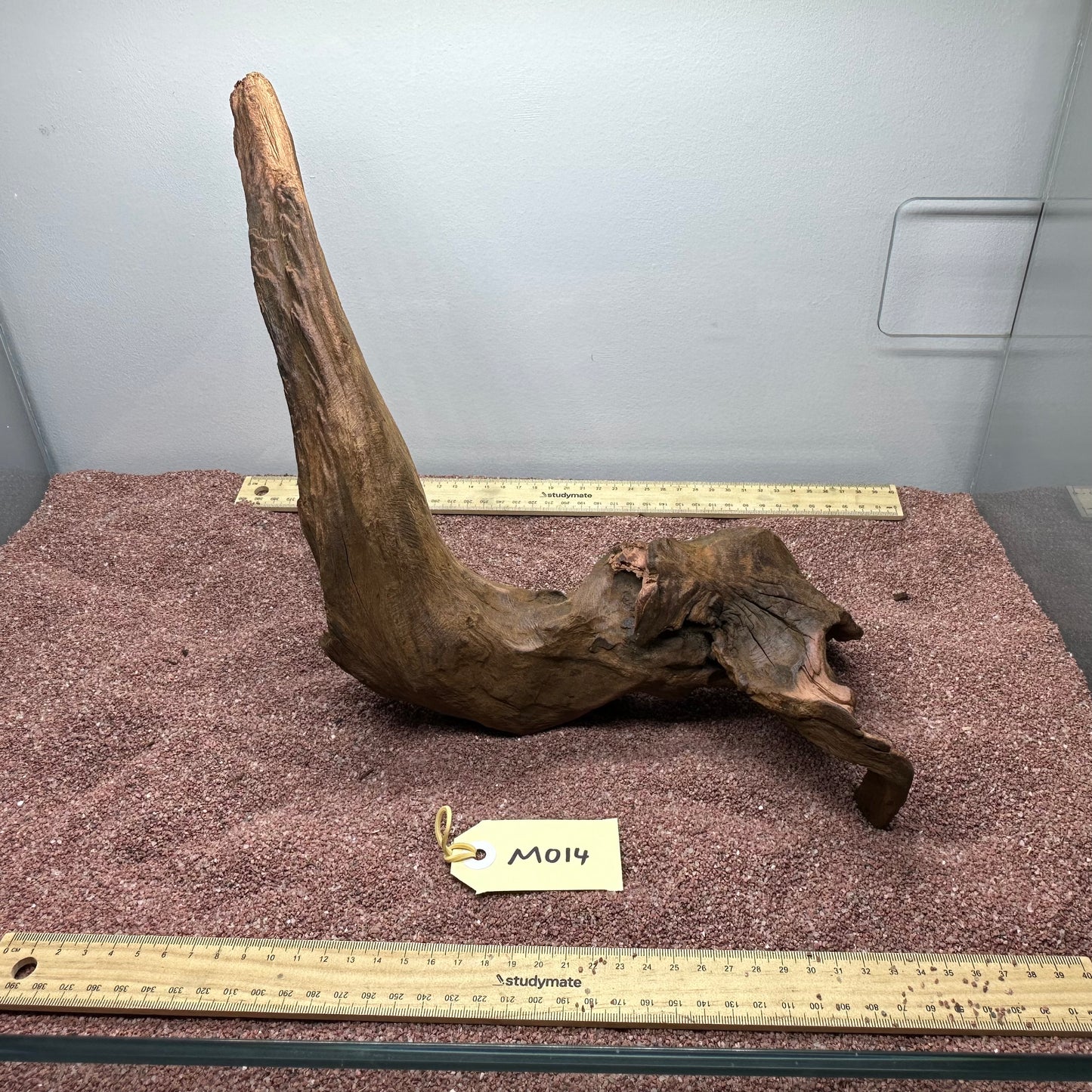 Driftwood (Medium)