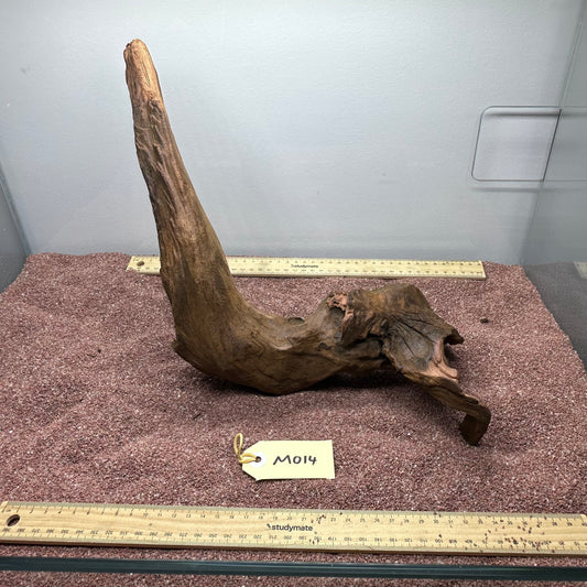 Driftwood (Medium)