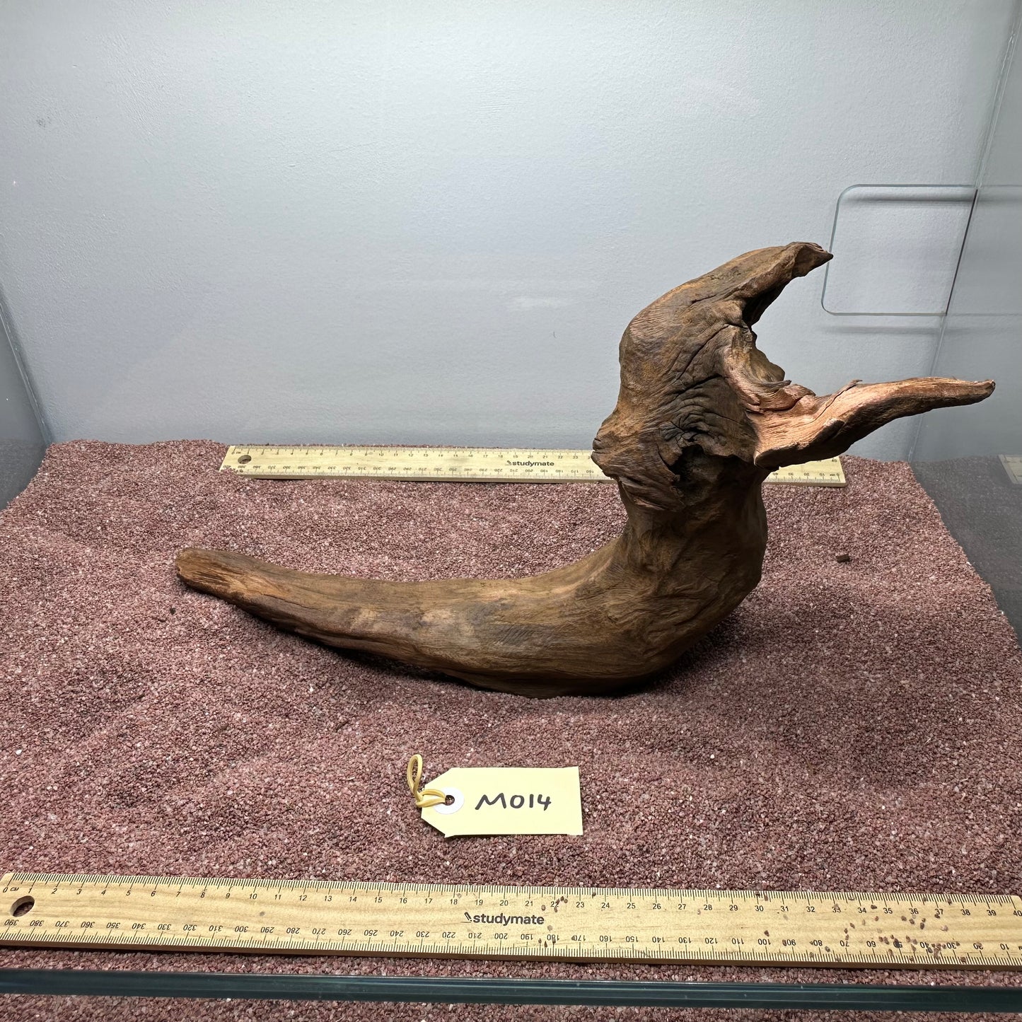 Driftwood (Medium)