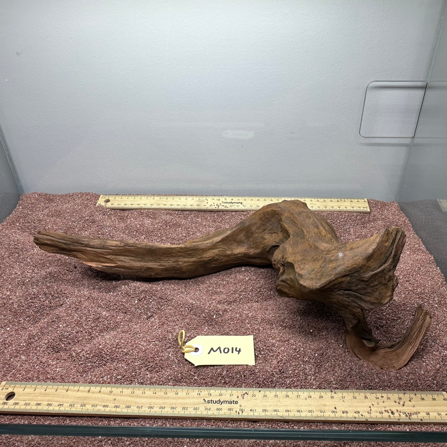 Driftwood (Medium)