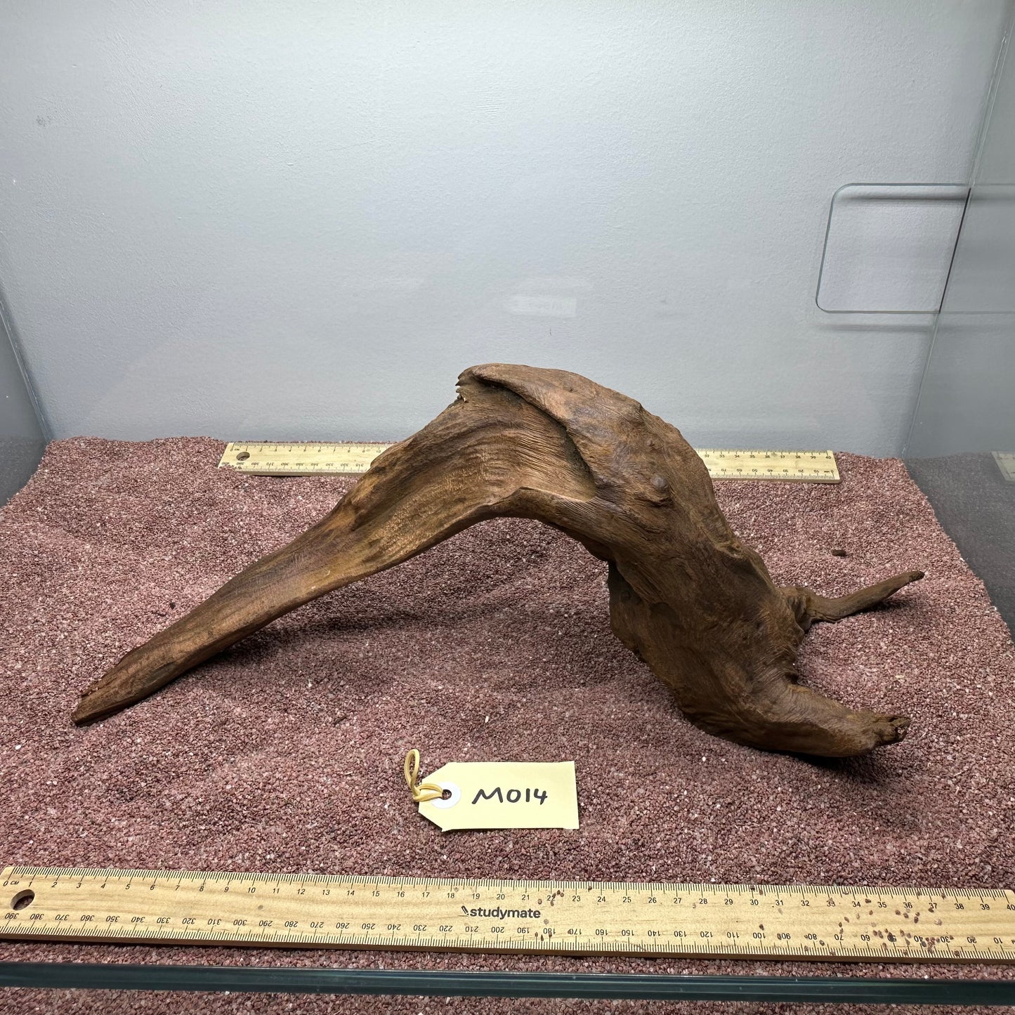 Driftwood (Medium)