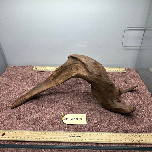 Driftwood (Medium)