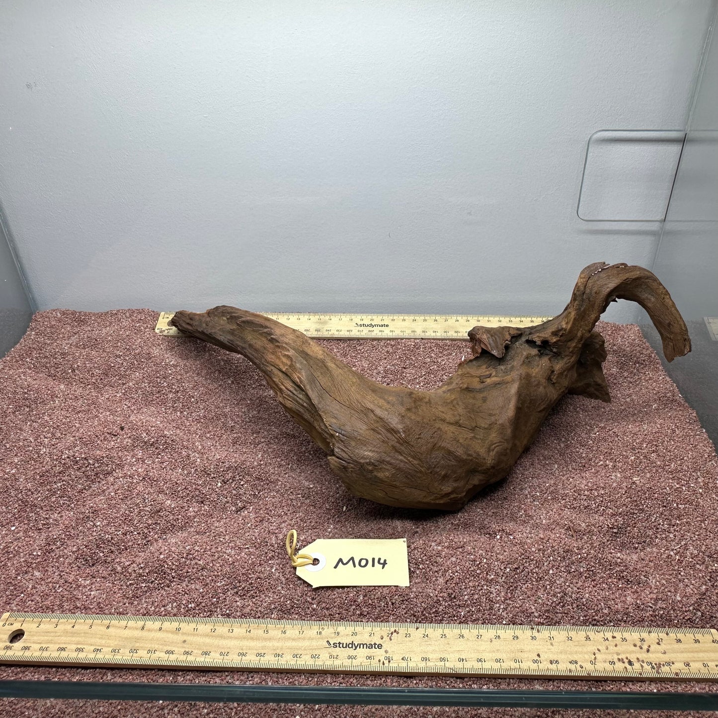 Driftwood (Medium)