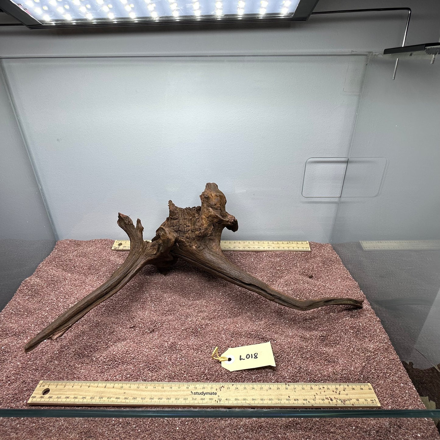 Driftwood (Large)
