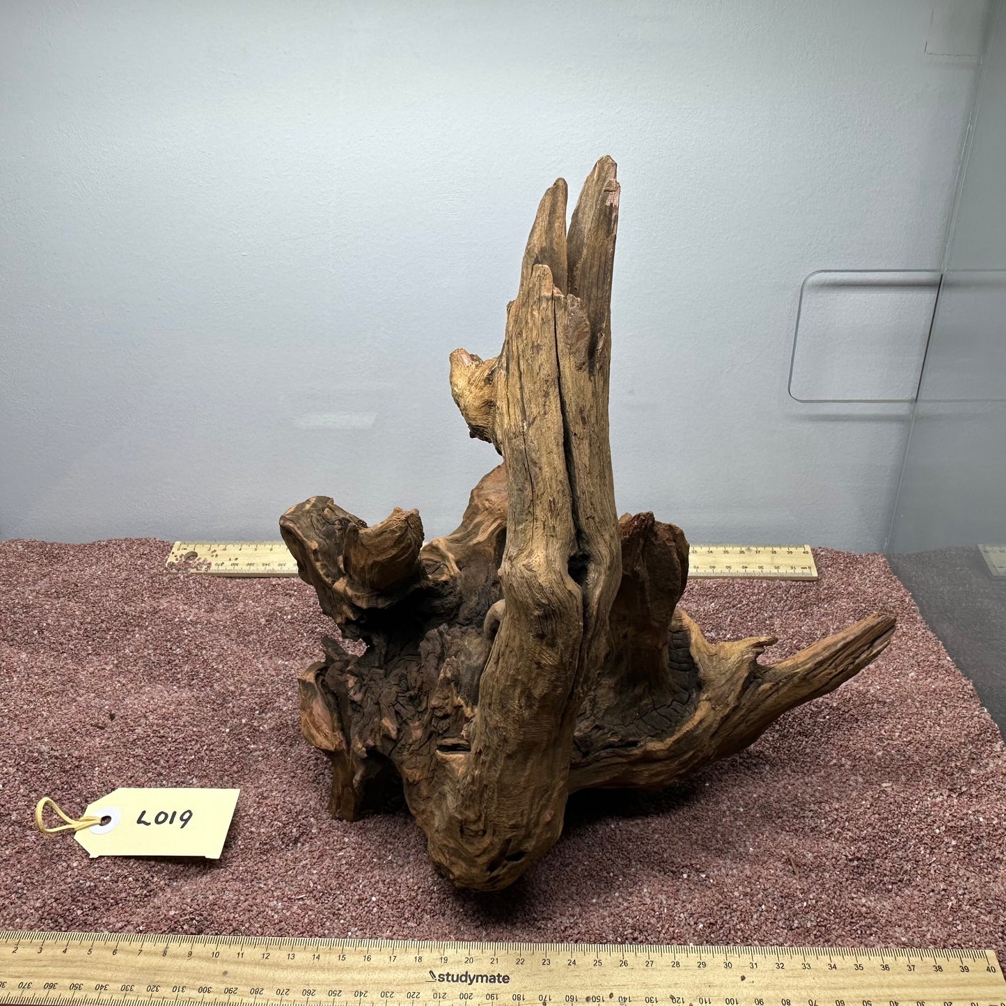 Driftwood (Large)