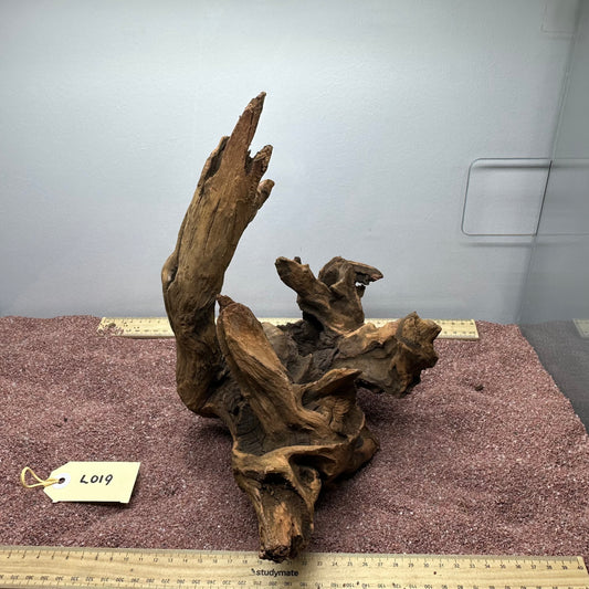 Driftwood (Large)
