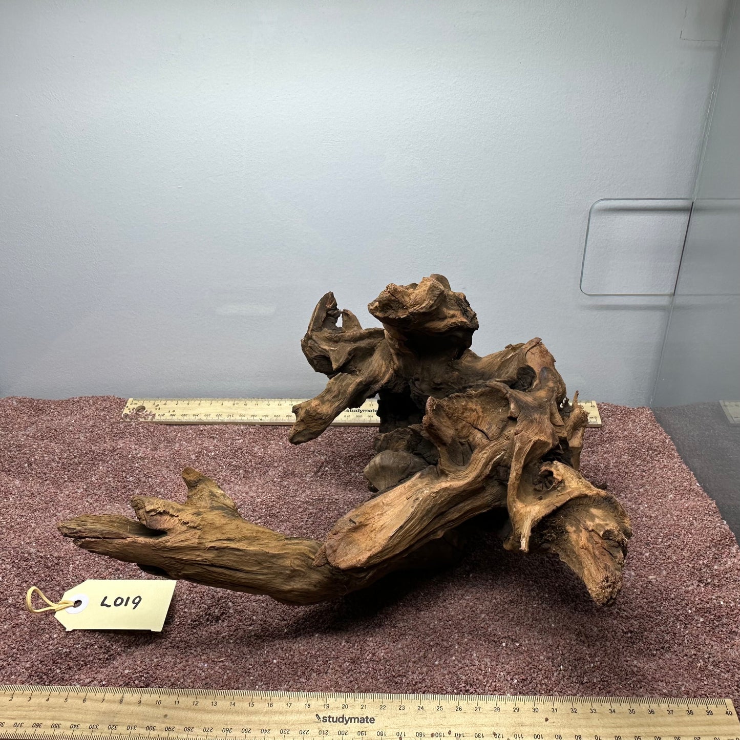 Driftwood (Large)