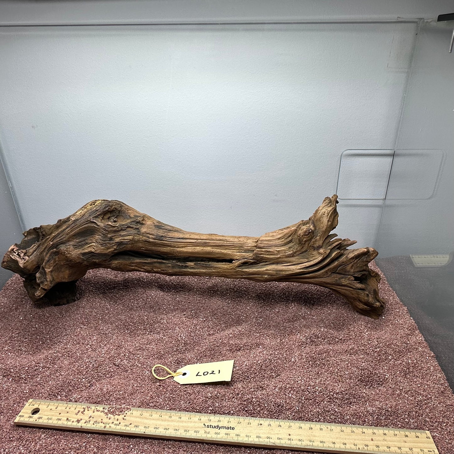 Driftwood (Large)