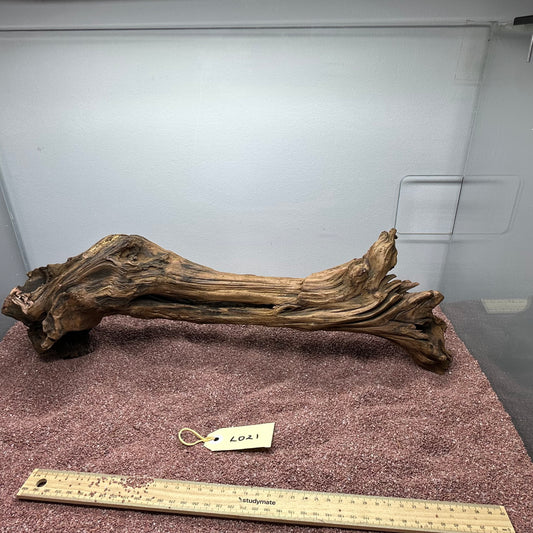 Driftwood (Large)