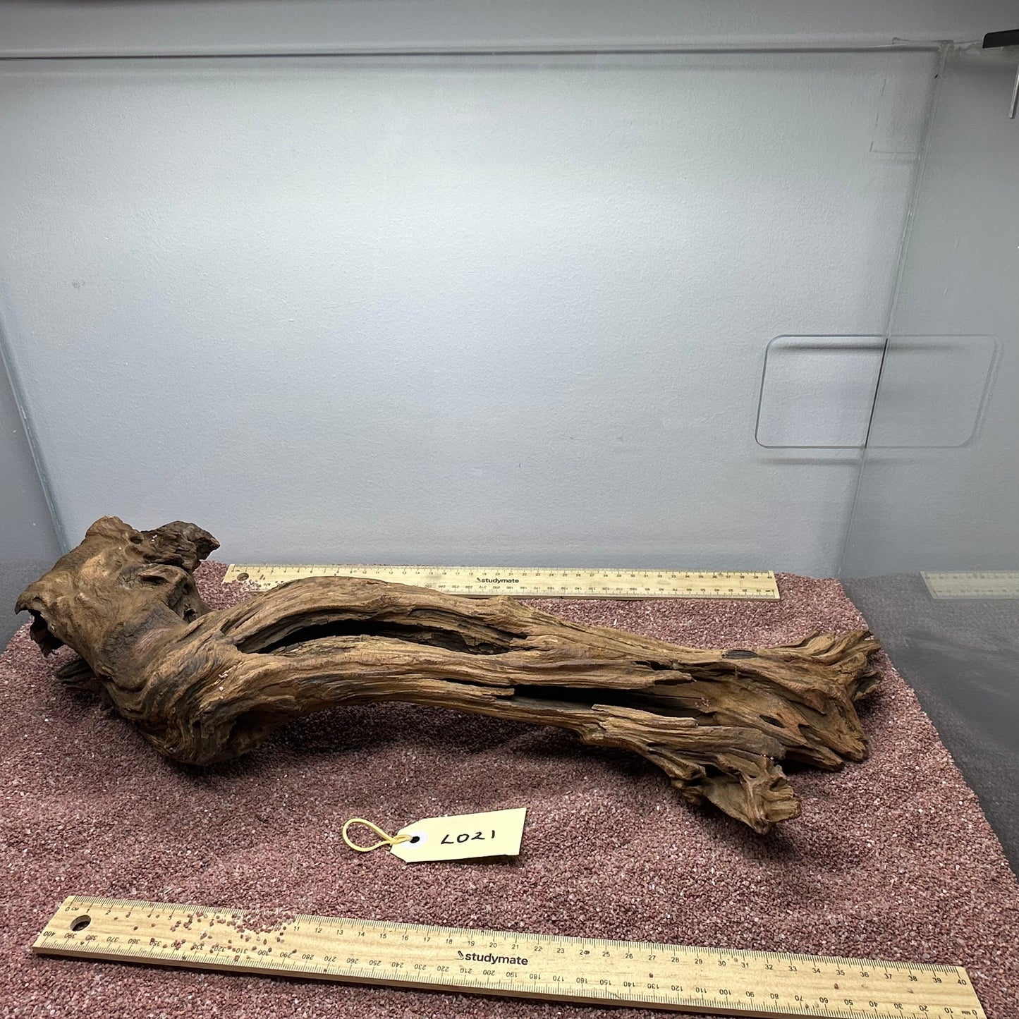 Driftwood (Large)