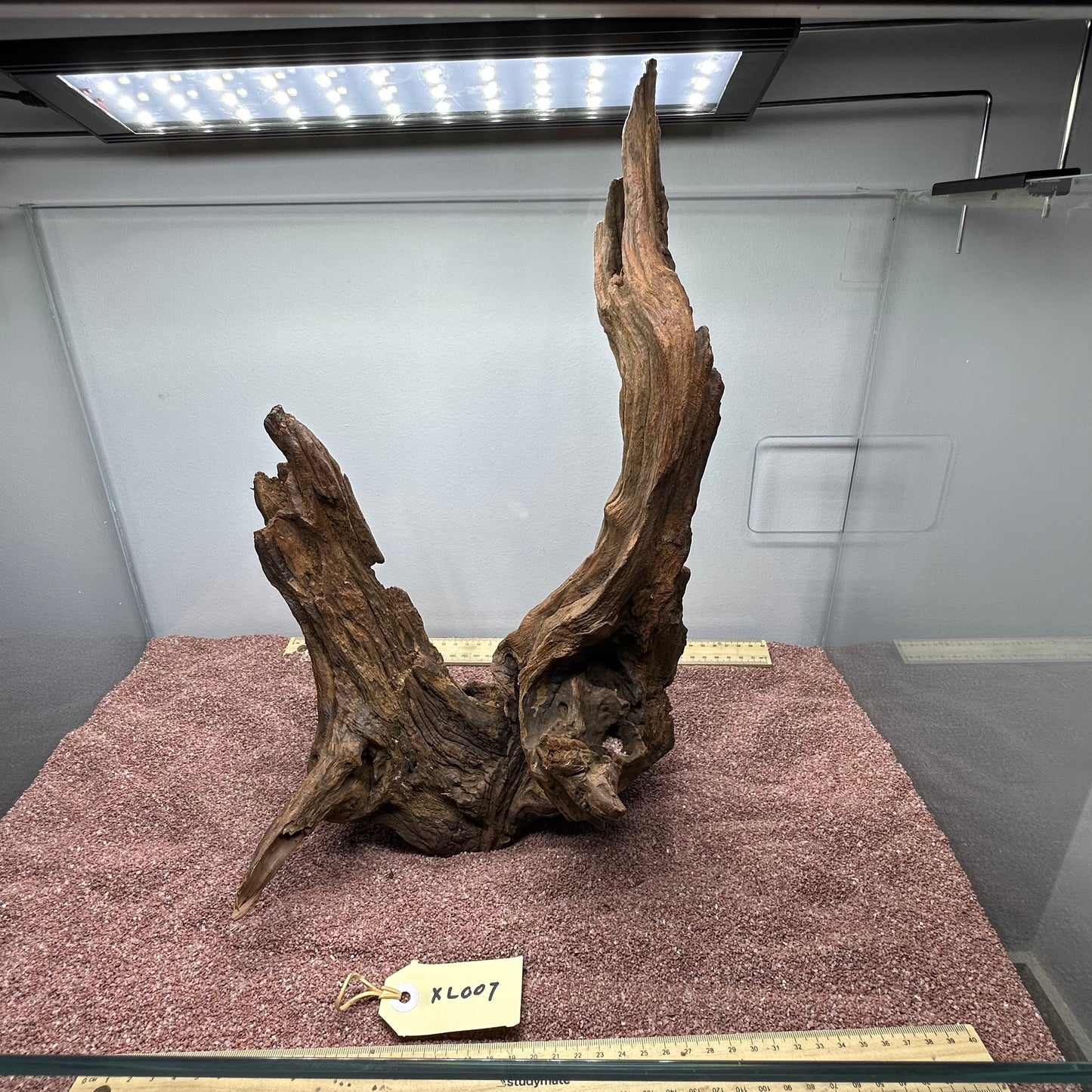 Driftwood (X Large)