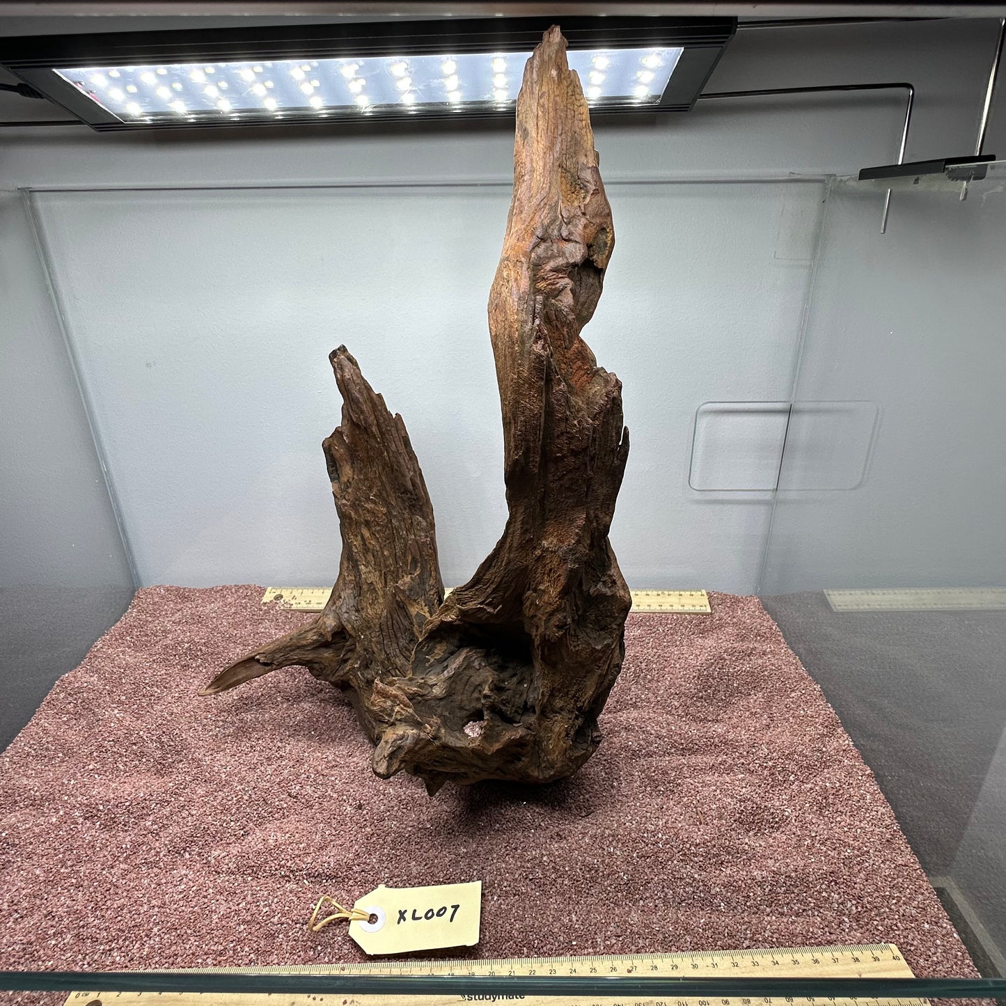 Driftwood (X Large)