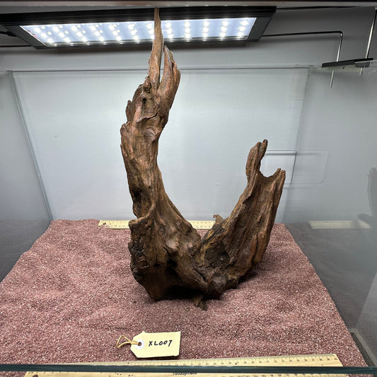 Driftwood (X Large)