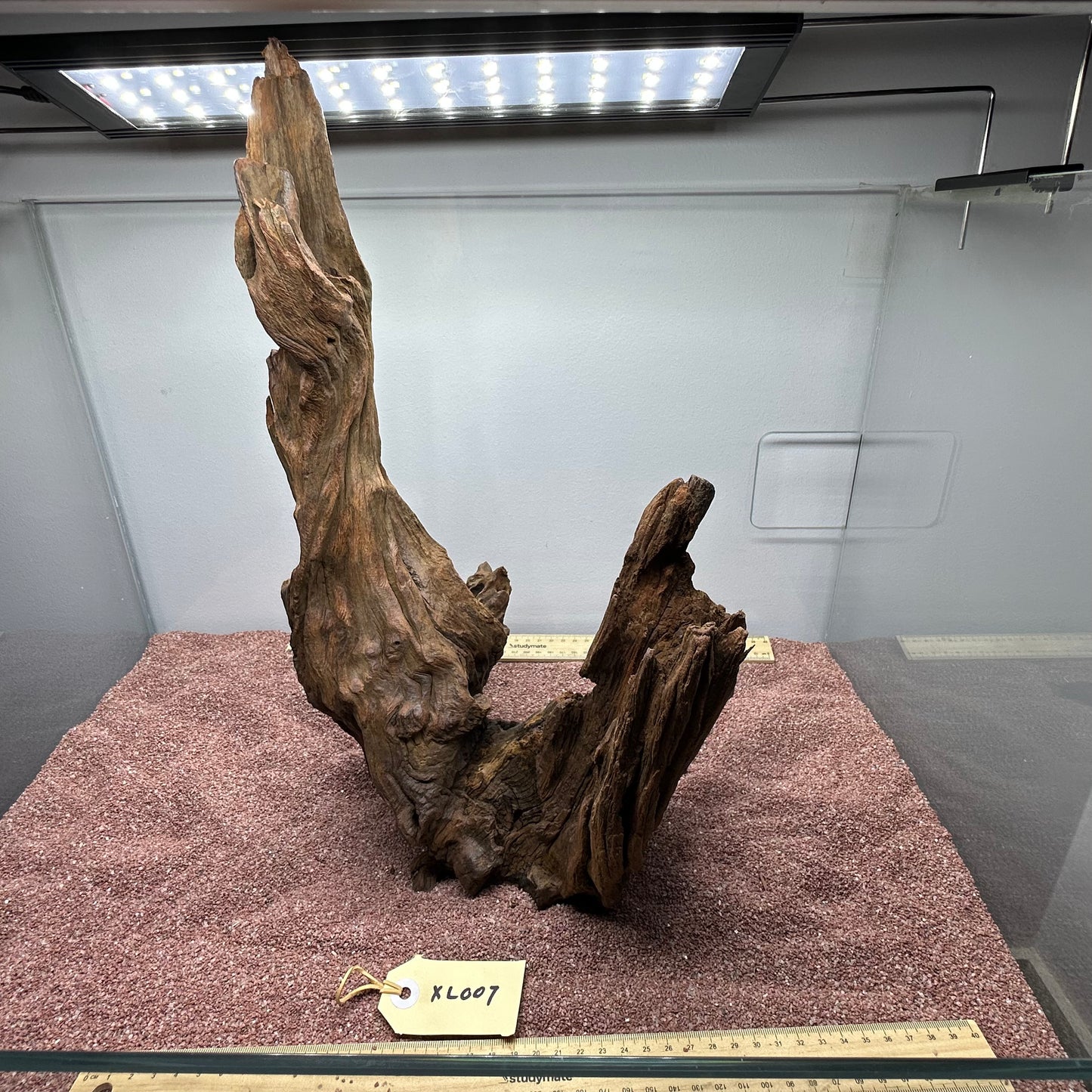 Driftwood (X Large)