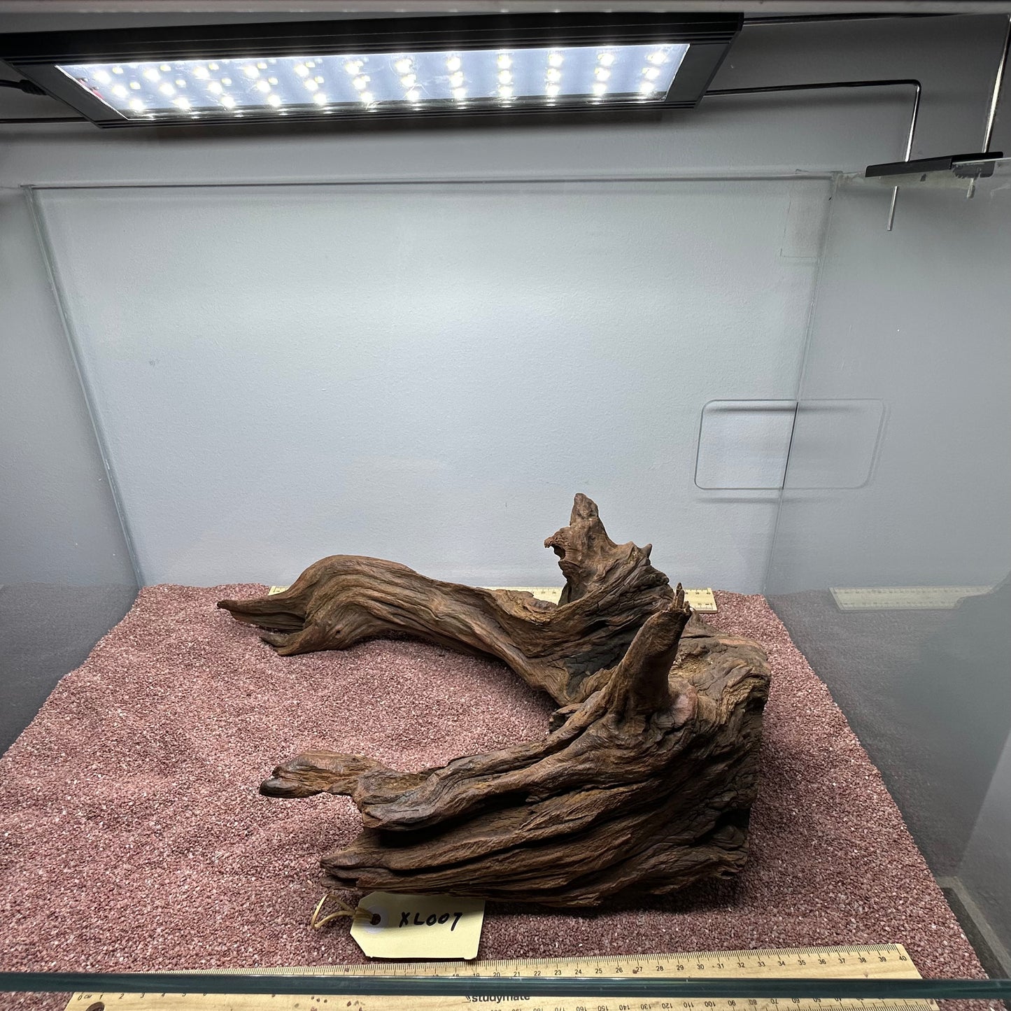 Driftwood (X Large)