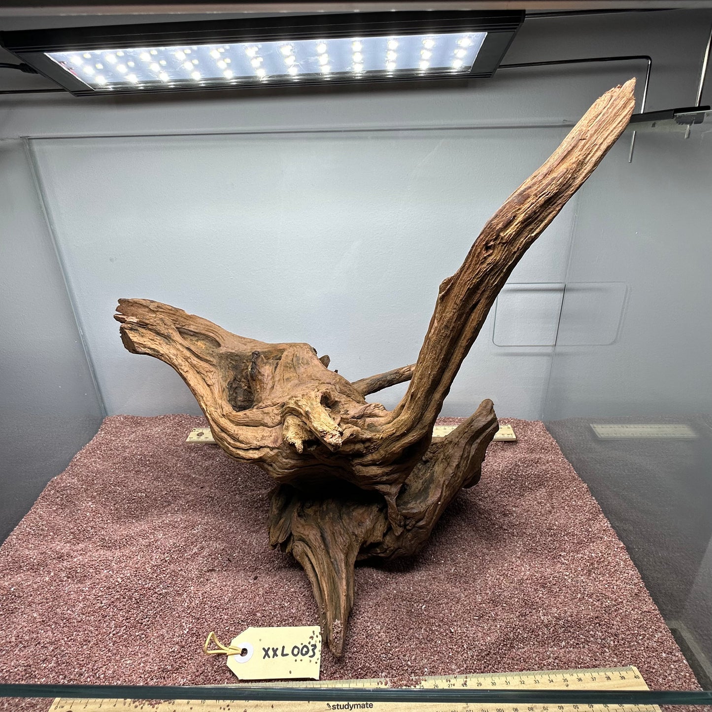 Driftwood (XX Large)
