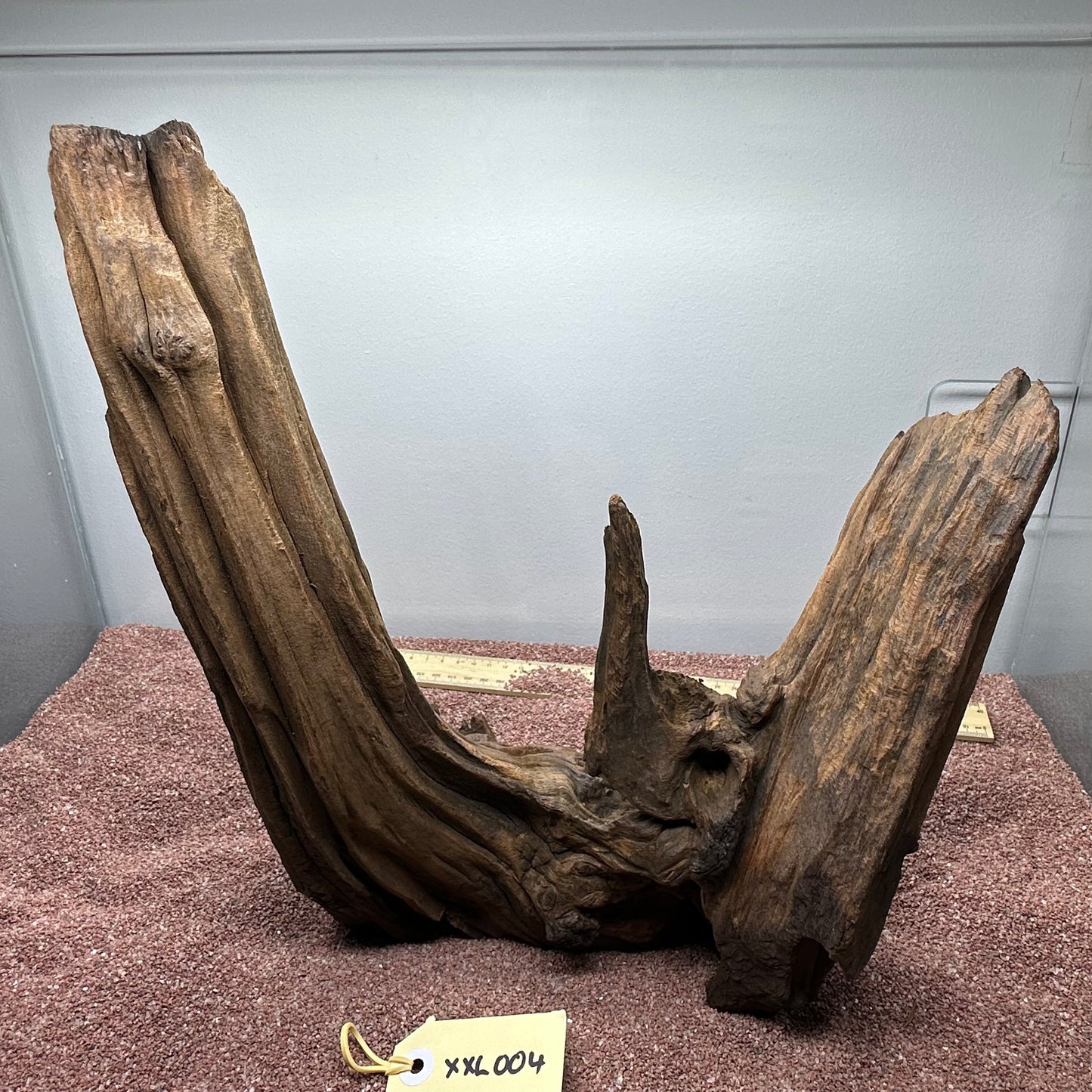 Driftwood (XX Large)