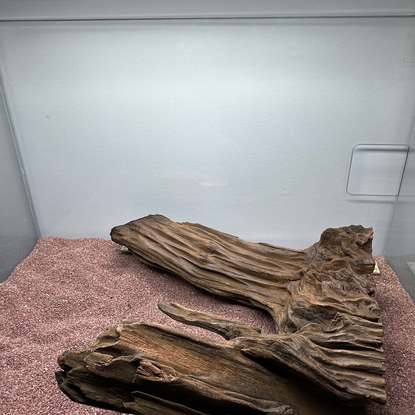Driftwood (XX Large)