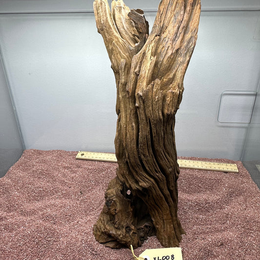 Driftwood (X Large)